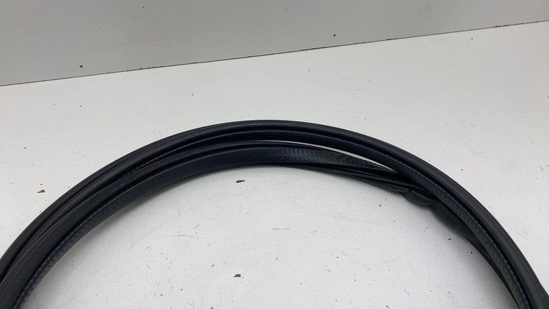 31662570 ⭕21-23 Polestar 2 Rear Passenger Side Door Body Weatherstrip Seal Right 31662570