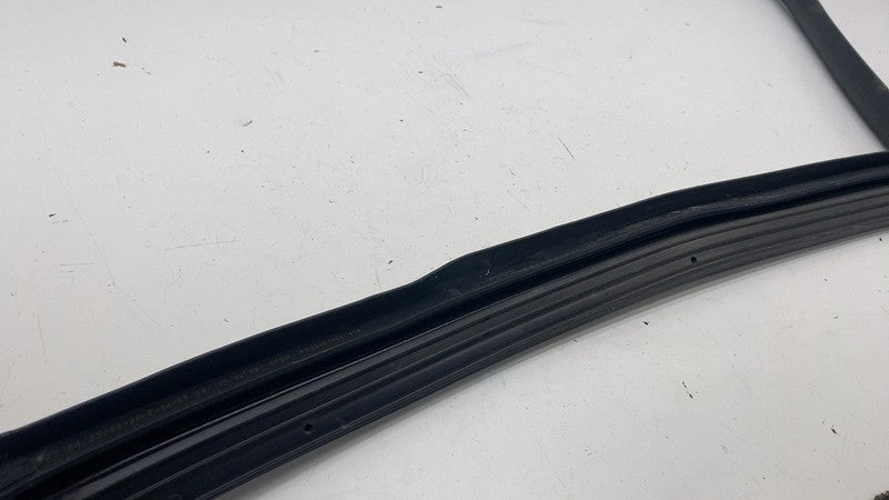 191098500E ⭕ 24-25 Tesla Model 3 Rear Side Left Door Primary Weatherstrip Seal 1910985-00-E