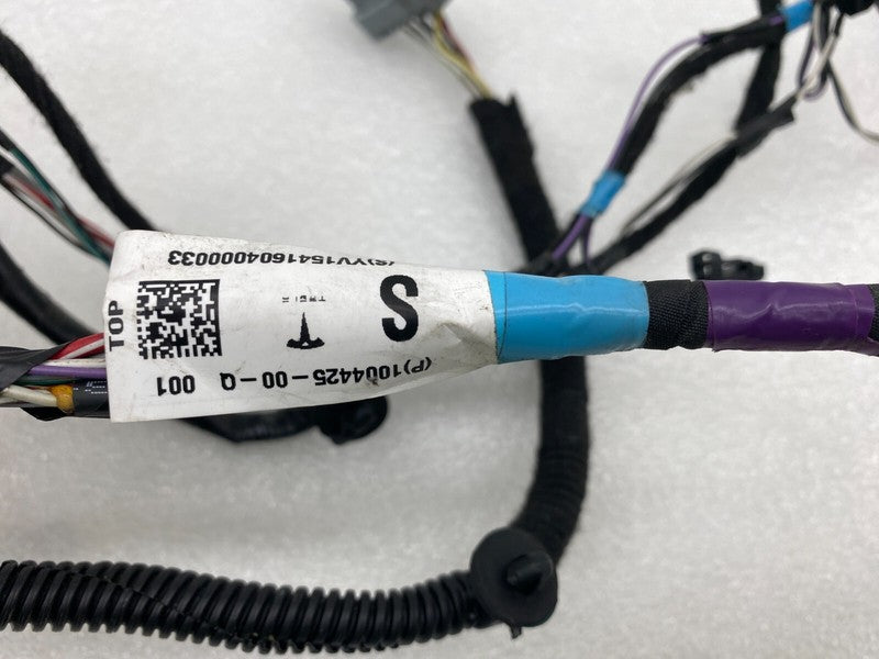 1004425 00 Q ⭕ 2016-2020 Tesla Model S Rear Left Door Wiring Harness Wire Loom 1004425-00-Q