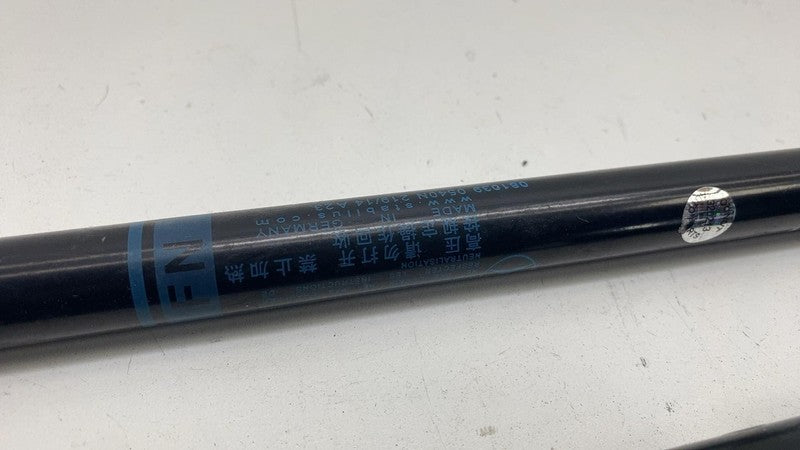 A2429800564 ⭕ 14-17 Mercedes-Benz B-Class Front Left & Right Hood Strut Damper A2429800564