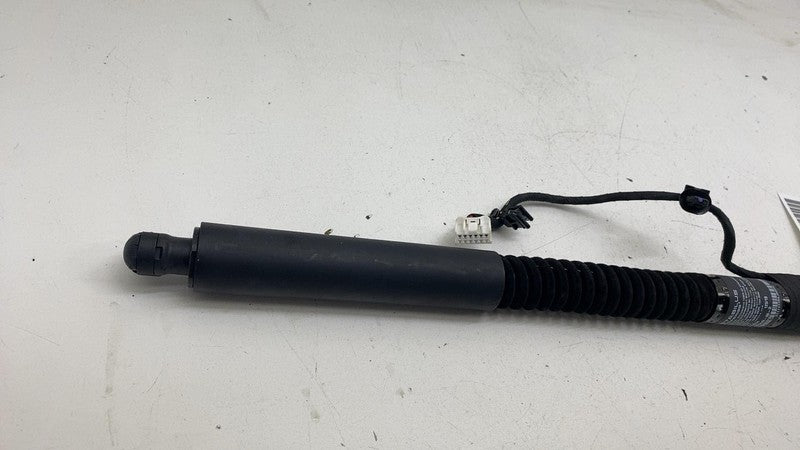 ⭕ 16-23 Model X Rear Left / Front Right Primary Door Lift Gas Strut 10