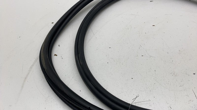 ⭕ 21-23 Polestar 2 Rear Driver Side Door Body Weatherstrip Seal Left L