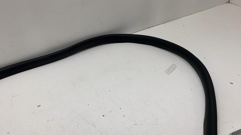 191098500C ⭕ 24-25 Tesla Model 3 Rear Side Left Door Primary Weatherstrip Seal 1910985-00-C