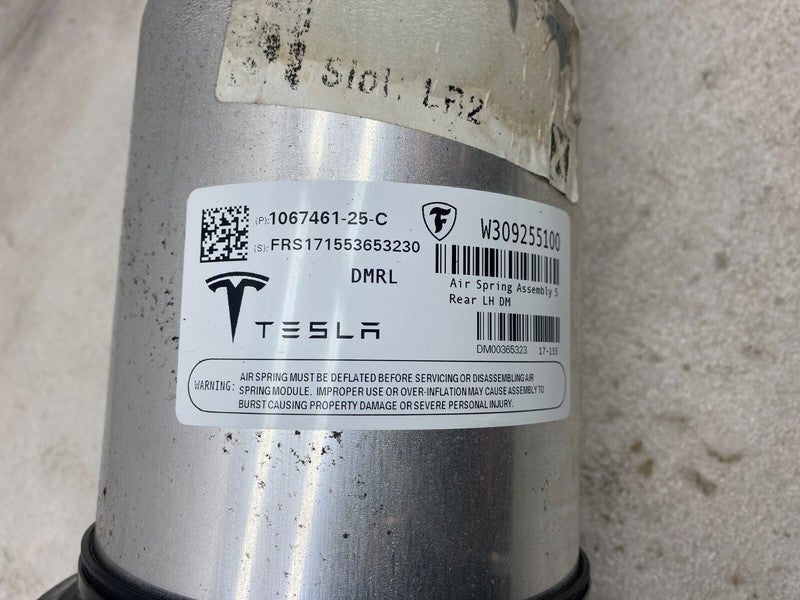 1067461 25 C ⭕ 2016-2021 Model S Rear Side Air Suspension Shock Strut Absorber 1067461-25-C