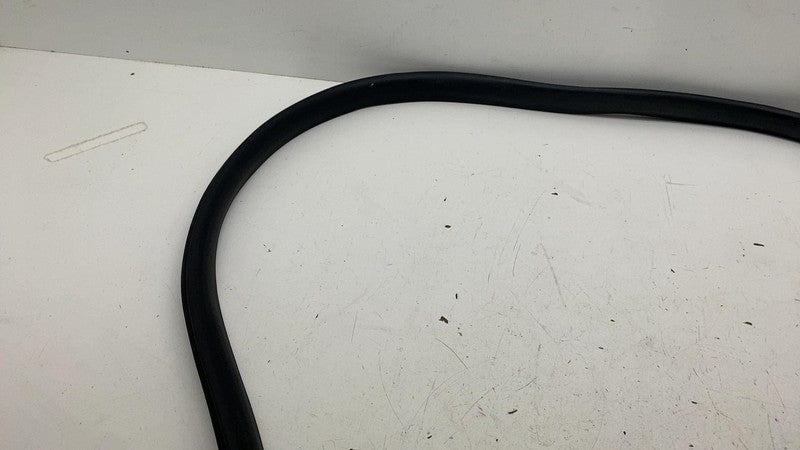 ⭕ 24-25 Model 3 Rear Right Primary Body Weatherstrip Rubber Seal RH 19
