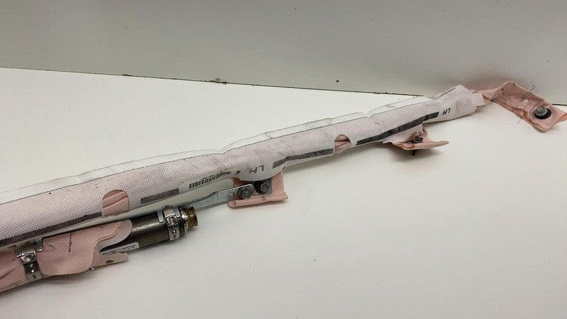 100526100D 2012-2020 Tesla Model S Driver Side Roof Curtain Safety Airbag Left Assembly OEM