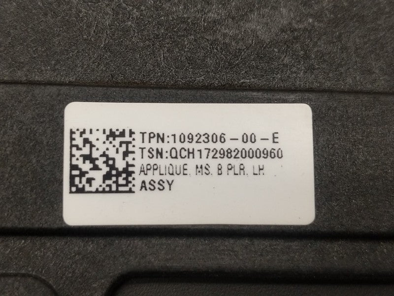 1092306 00 G ⭕ 2016-2020 Tesla Model S B-Pillar Glass Applique & Camera Left LH 1092306-00-E