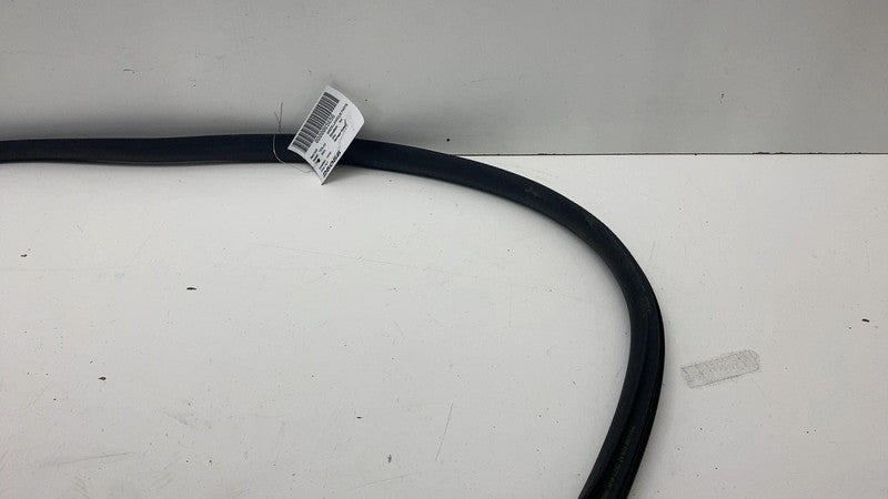 191098500E ⭕ 24-25 Tesla Model 3 Rear Side Left Door Primary Weatherstrip Seal 1910985-00-E