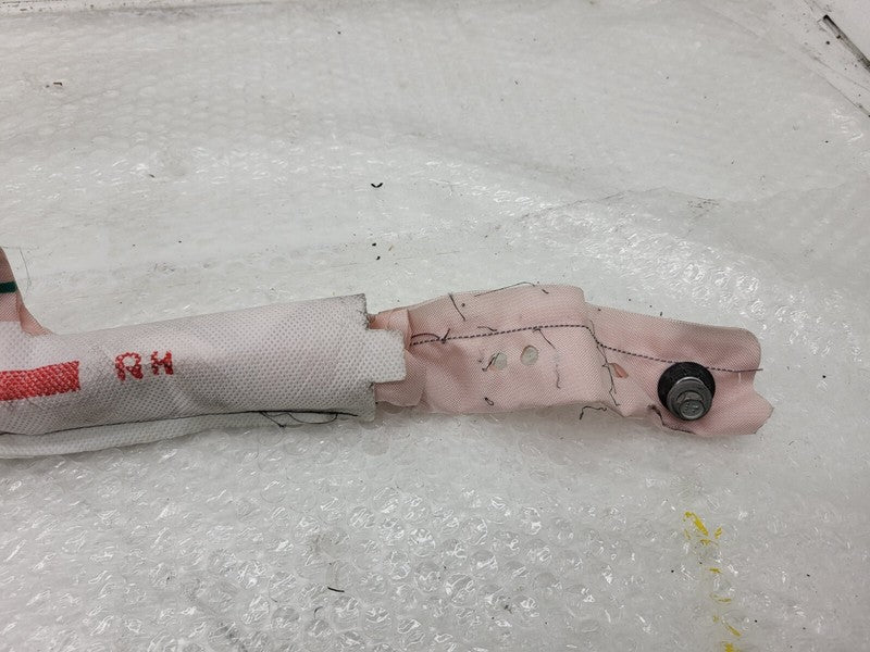 1005262 00 D ⭕ 2012-2020 Tesla Model S Roof Curtain Safety Airbag Right Side OEM 1005262-00-D