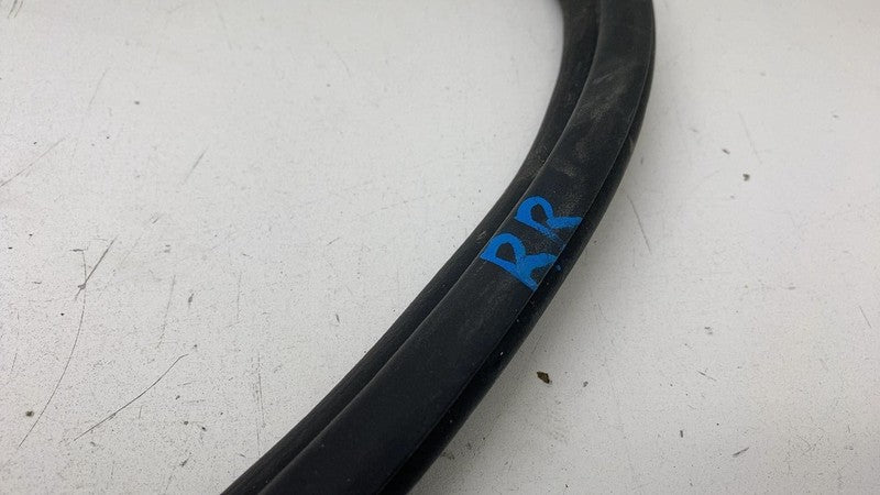2022 2023 2024 Kia EV6 Rear Door Body Weatherstrip Rubber Seal Assembly OEM