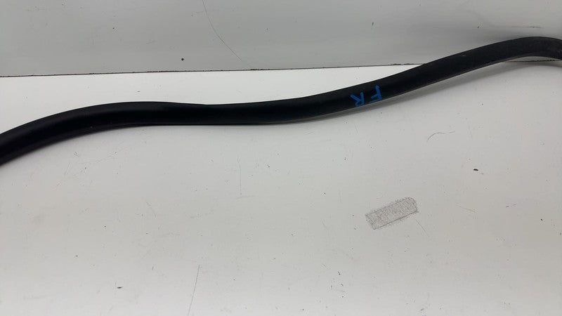 ⭕ 21-24 Mustang Mach-E Front Passenger Right Door Body Weatherstrip Rubber Seal