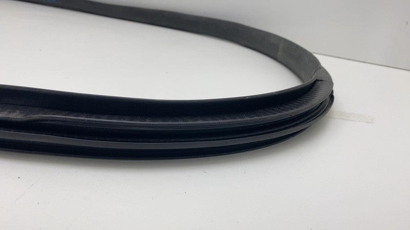 2020-2023 Tesla Model Y Rear Passenger Right Door Body Weatherstrip Rubber Seal