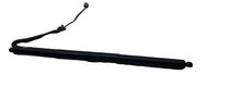 12-20 Model S Rear Passenger Liftgate Trunk Power Shock Strut Right 6006610-00-B