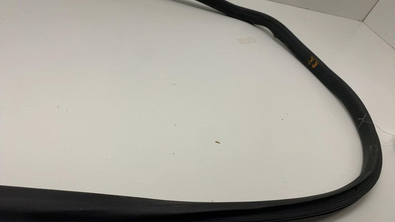 2024 Tesla Cybertruck Rear Passenger Right Door Seal Gasket Weather St