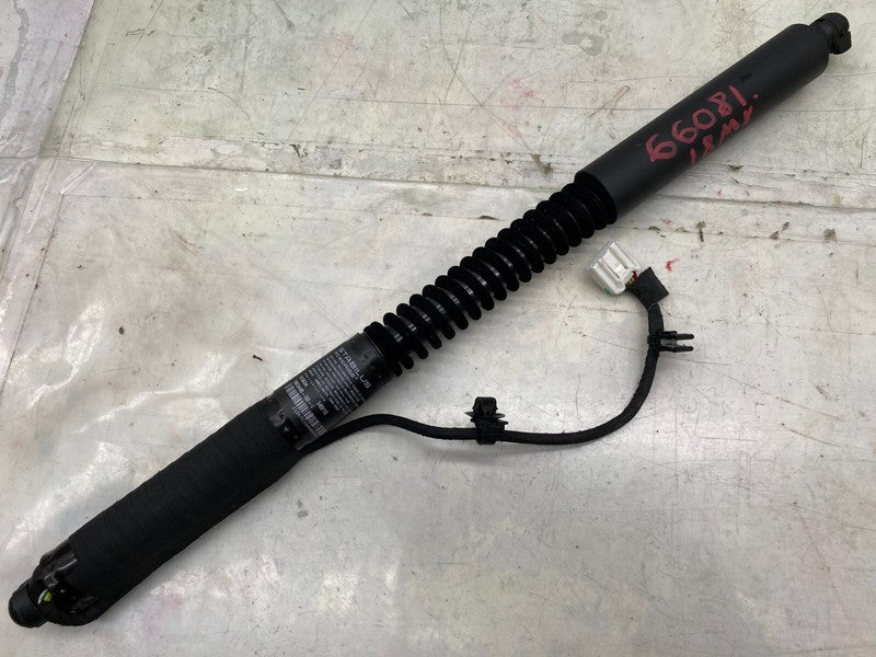 106344000D ⭕ 16-25 Model X MX Rear Left/Front Right Primary Falcon Door Strut 1063440-00-D