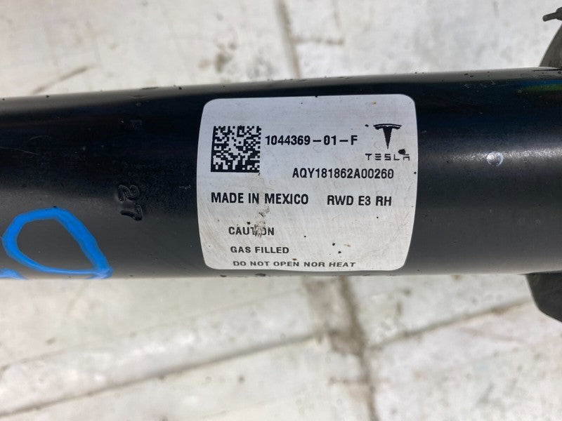 ⭕ 18-23 Model 3 Front Right Shock Strut Absorber + Upper Arm RH RWD 10