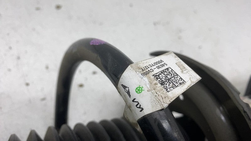 2022 2023 2024 Kia EV6 Driver Side Shock Strut Absorber w/ Coil Spring