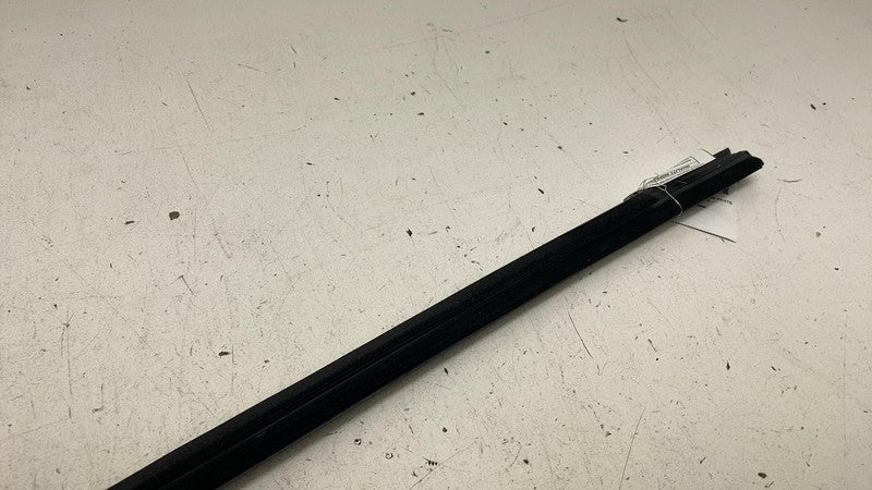 ⭕ 2024-2025 Tesla Model 3 Rear Left or Right Door Window Seal Molding 