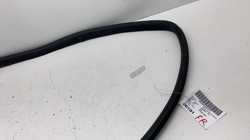 ⭕20-26 Tesla Model Y Front Door Body Weatherstrip Rubber Seal Right 14
