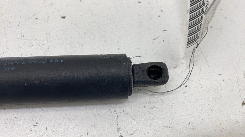 ⭕ 2012-2024 Tesla Model S Rear Left Liftgate Trunk Spring Strut LH 600