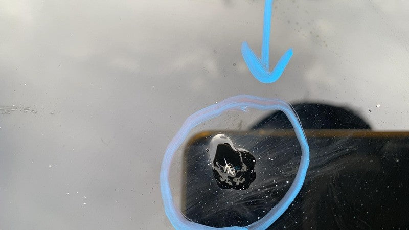 ⭕ 17-20 Model 3 M3 Rear Trunk Panoramic Backlite Glass Back Section 14