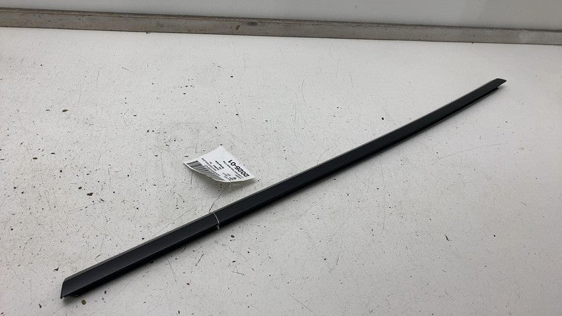 156223 2020-2024 Tesla Model Y MY Rear Driver Door Window Outer Belt Seal Molding Left