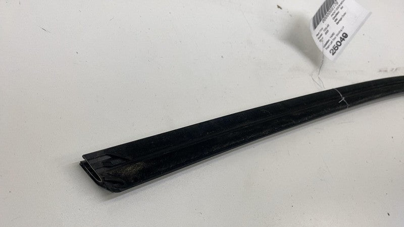 108068100H ⭕ 2021-2025 Tesla Model 3 Front Left Door Window Outer Belt Molding 1080681-00-H