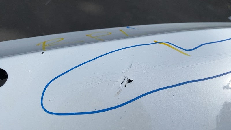 ⭕ 2017-2022 Tesla Model 3 Rear Bumper Cover w/ Park Sensor Holes Assy White PPSW
