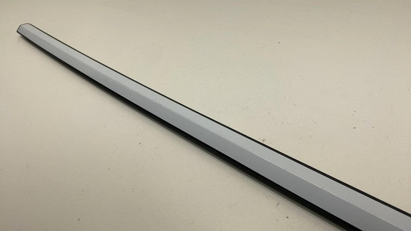 108068100H ⭕ 2021-2025 Tesla Model 3 Front Left Door Window Outer Belt Molding 1080681-00-H