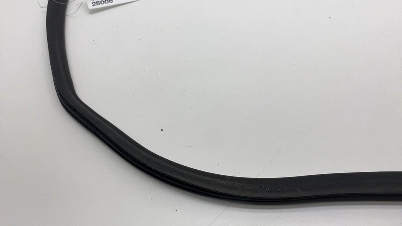 2019-2021 BMW 530e G30 Front Passenger Side Door Weatherstrip Rubber S