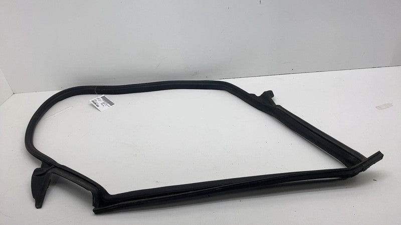 ⭕ 17-23 Tesla Model 3 Rear Driver Side Left Door Primary Weatherstrip 