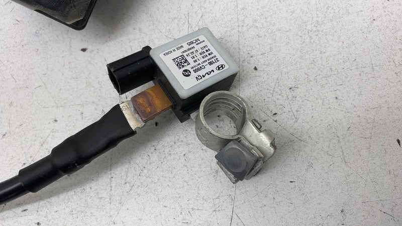 2022-2024 Kia EV6 PAIR Battery Positive & Negative Cable Wire Harness 