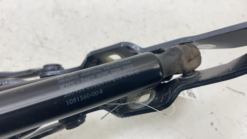 ⭕ 2017-2020 Model 3 Rear Left & Right Trunk Lid Hinges w/ Gas Strut 10