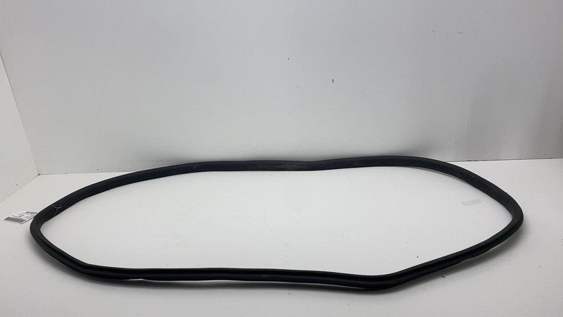 2020-2023 Tesla Model Y Front Passenger Right Door Body Weatherstrip Rubber Seal