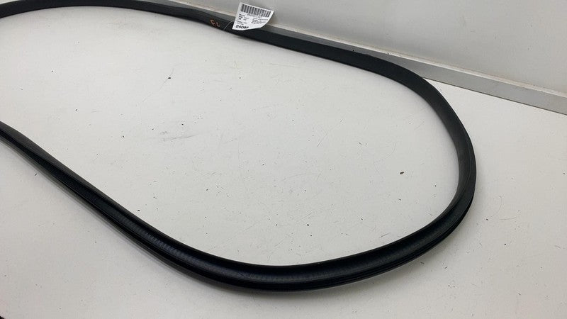 ⭕ 2020-2023 Tesla Model Y Front Driver Left Door Body Weatherstrip Rub