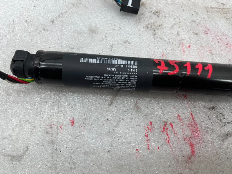 1063441 00 C ⭕16-22 Model X Rear Left/Right Secondary Falcon Door Lift Gas Strut 1063441-00-C