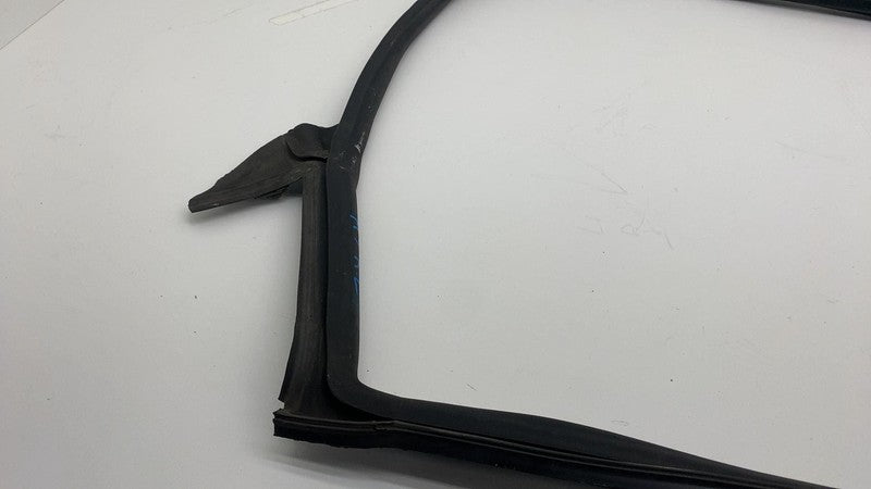 2017-2023 Tesla Model 3 Rear Driver Side Left Door Primary Weatherstri