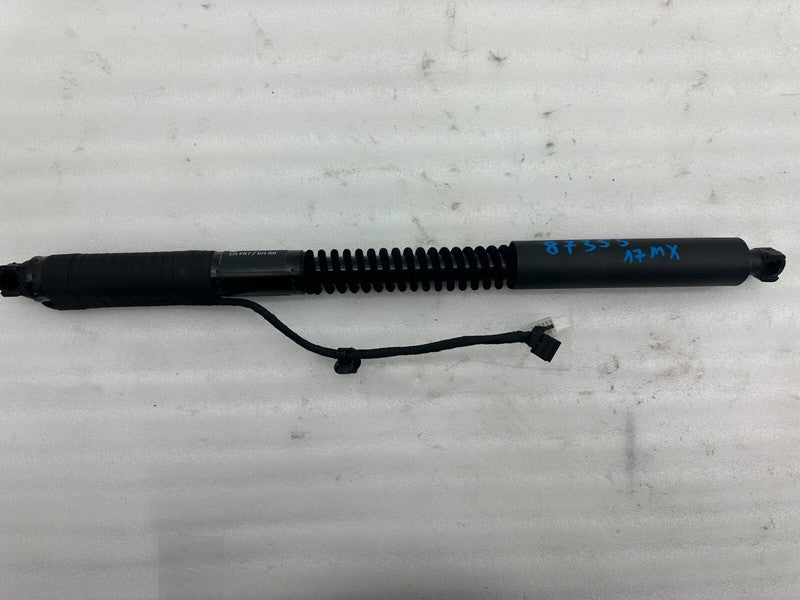 106344001D ⭕ 2016-2023 Model X Front Left/Rear Right Primary Falcon Door Strut 1063440-01-D