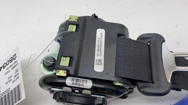 ⭕ 17-23 Tesla Model 3 M3 Rear Right 2nd Row Seat Belt & Retractor 1081