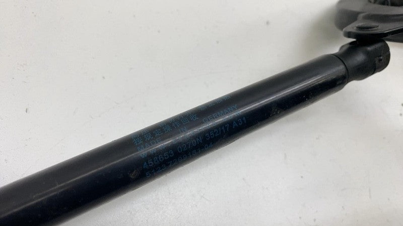 729916711 ⭕ 14-21 BMW i3 I01 Front Left & Right Bonnet Hood Hinge w/ Gas Strut 729916711