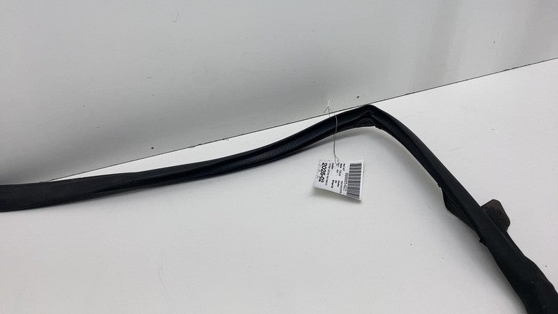 2017-2023 Tesla Model 3 Rear Driver Side Left Door Primary Weatherstri