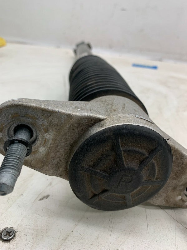 ⭕ 18-23 Model 3 Rear Left or Right Shock Strut Absorber Damper RWD 104
