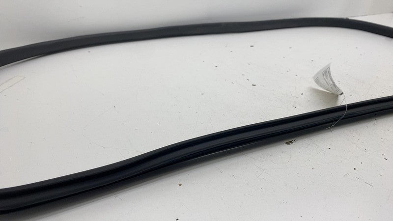 ⭕ 20-24 Model Y Front Left or Right Primary Body Weatherstrip Seal 149