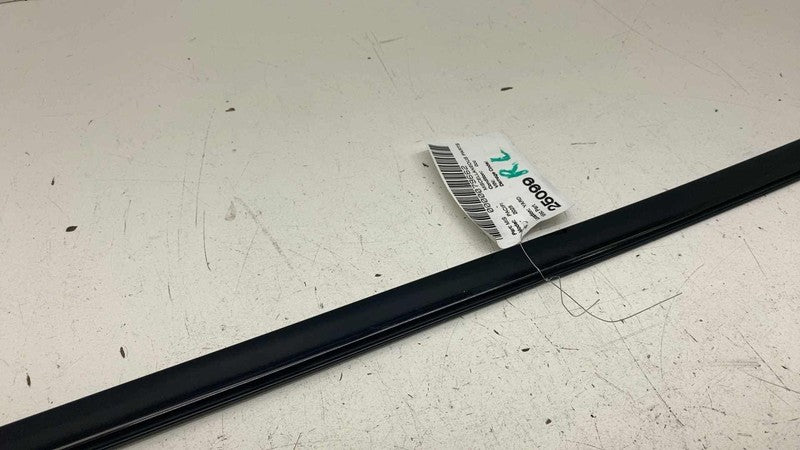 ⭕ 17-25 Chrysler Pacifica Rear Driver Side Sliding Door Window Belt Molding Left