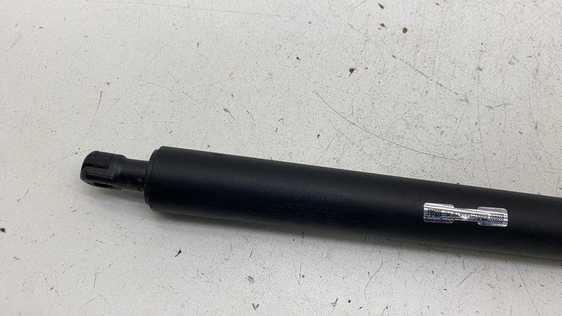 ⭕ 2020-2024 Tesla Model Y Rear Passenger Side Liftgate Strut Right 150