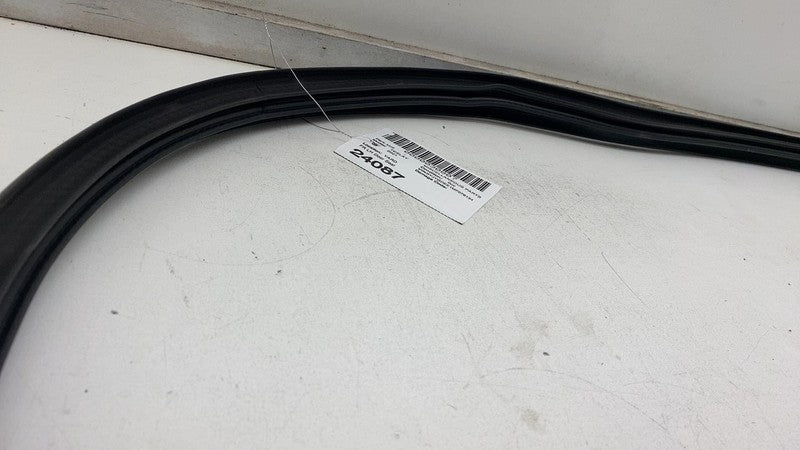 ⭕ 2020-2023 Tesla Model Y Front Driver Left Door Body Weatherstrip Rub