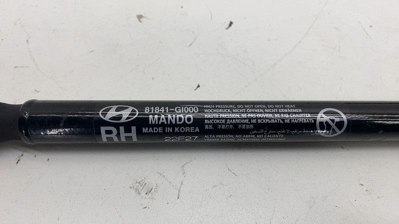 81841GI000 ⭕22-24 Ioniq 5 Rear Left & Right Liftgate Power Cylinder Shock Strut 81841-GI000