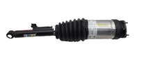 ⭕ 19-20 Model X Rear Right Suspension Air Spring Module (Adaptive) 1027067-00-C