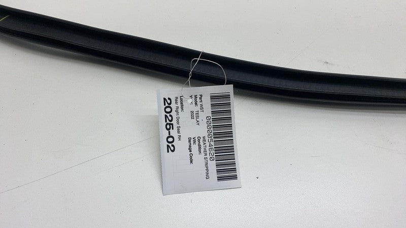 2020-2023 Tesla Model Y Rear Passenger Right Door Body Weatherstrip Rubber Seal