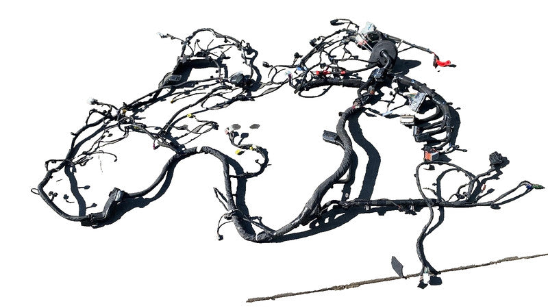 PT00876923-D ⭕ 2025 Rivian R1S Passenger Side Engine Wiring Harness Cable Wire Loom Left LH